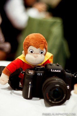 _MG_2709 - londonfriends-ONLINEUSE